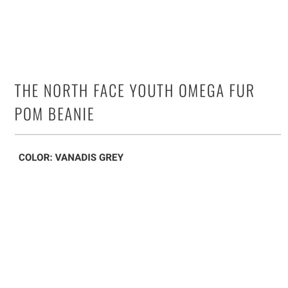 The North Face Gray Knit Pom-Pom Beanie - Picture 9 of 9